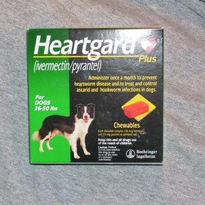 Medium dog heartworm preventive 26-50 lbs